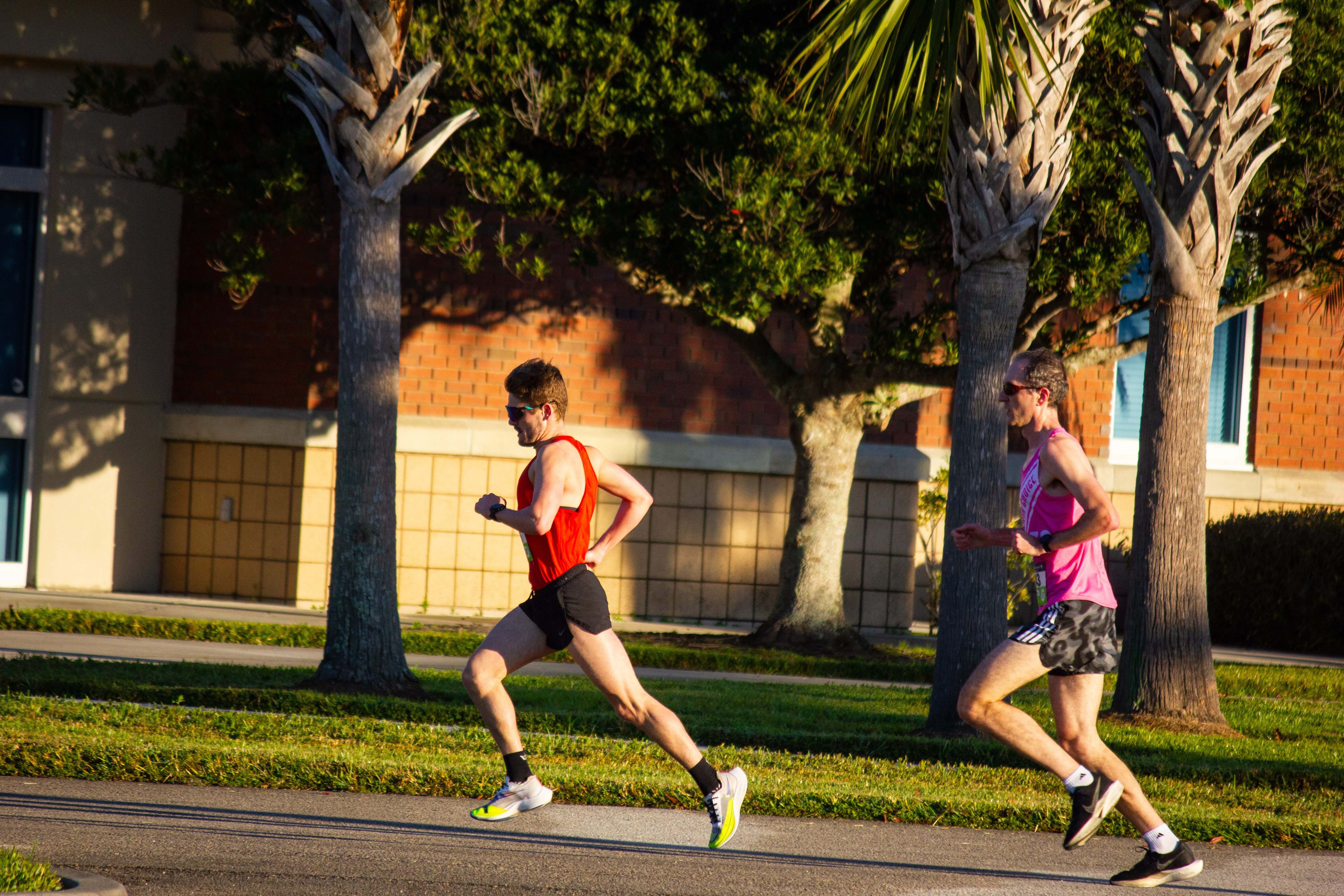 Trot 2024